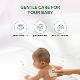 All Day Baby Wipes